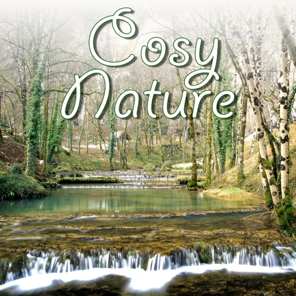 COSY NATURE
