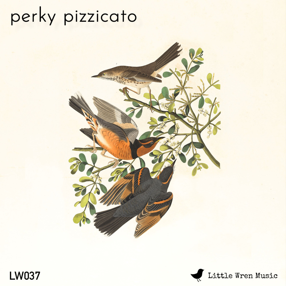 PERKY PIZZICATO
