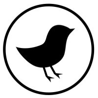 Welcome on Fool Monkey Little Wren Music !